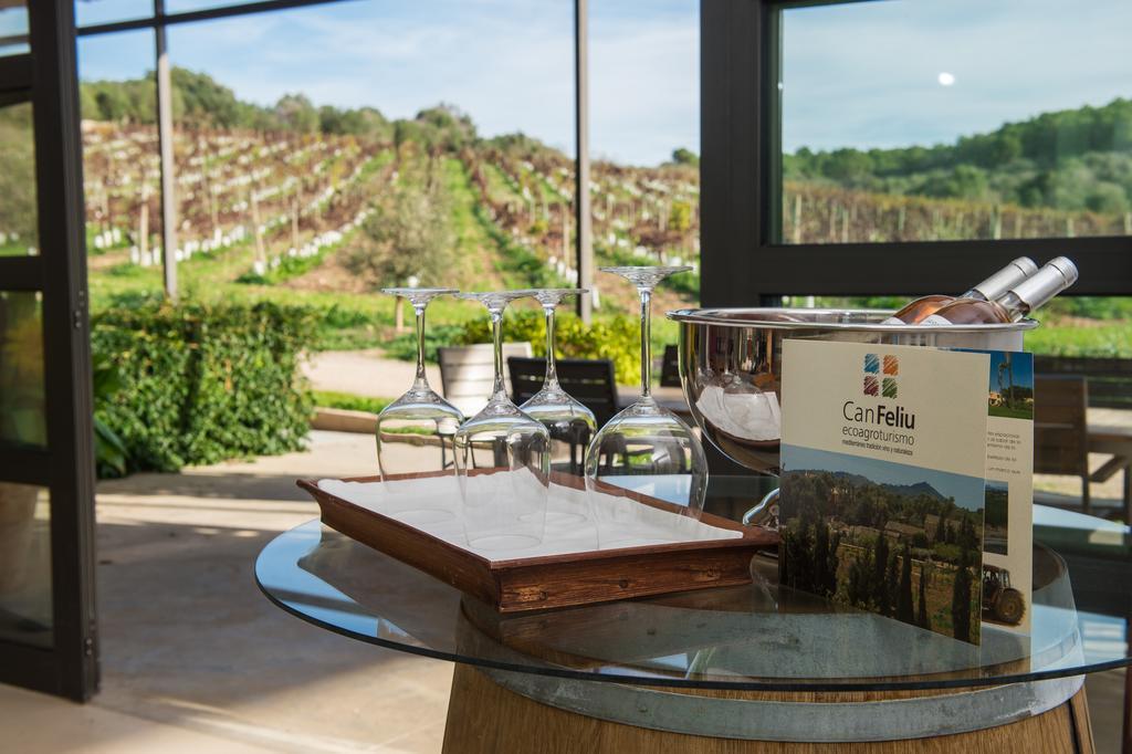 Casa rural Feliu