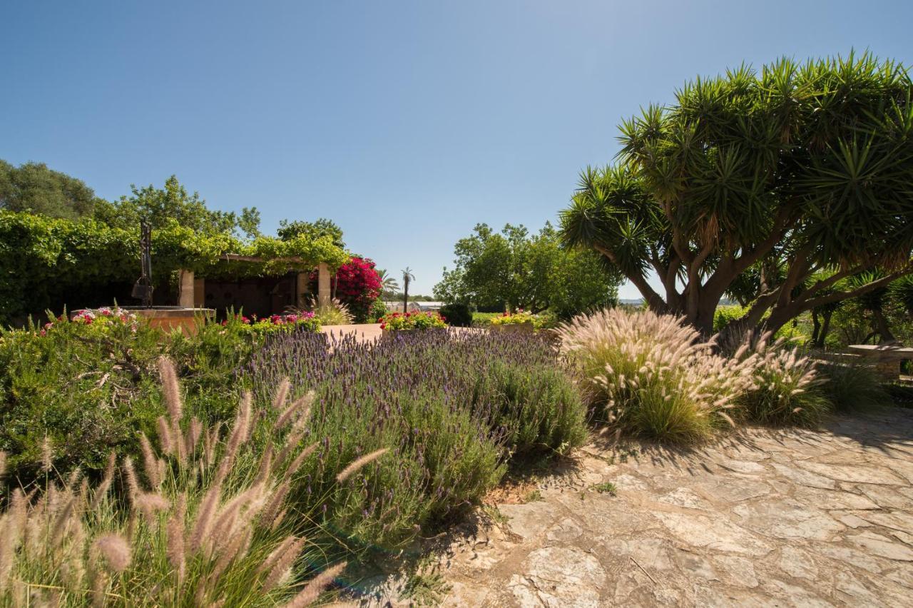 Feliu Landhaus